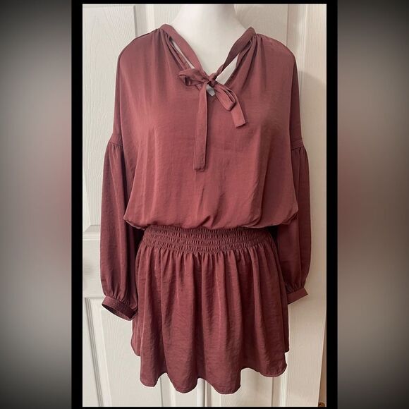 Lucky Brand Womens Long Sleeves Tie Neck Drop Waist Dress Size Small Rose Mauve - Picture 2 of 11